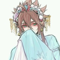 pr九天狐科技升级版